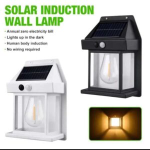 BK-888 Mini Waterproof Solar Interaction Wall Lamp With Motion Sensor Security Light, Featuring 3 Lighting Levels